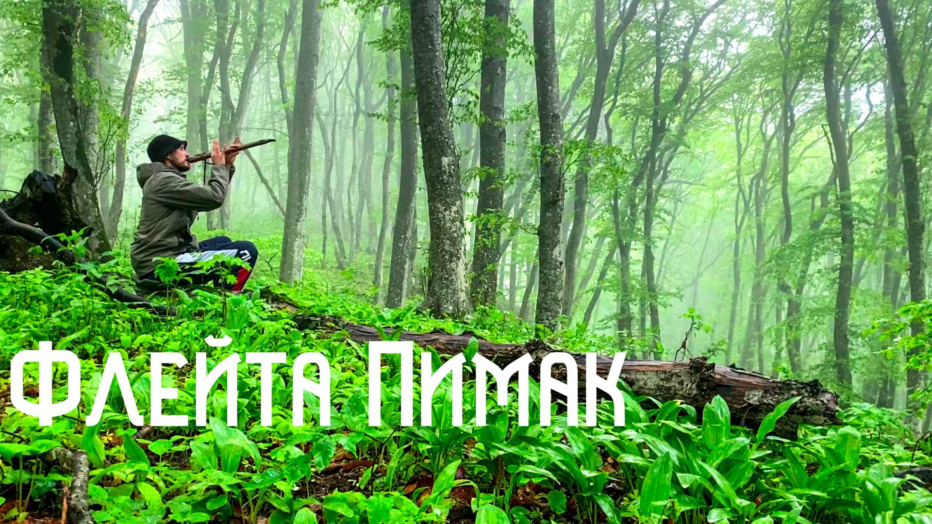 Флейта Пимак / Тучи и Дождь в Горном Лесу / Музыка Души смотреть онлайн
