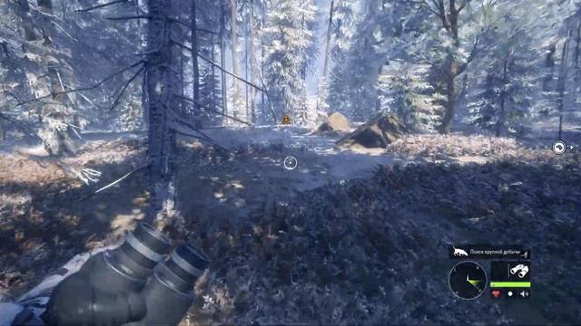 theHunter: Call of the Wild #11 Новая локация и охота зимой | Заболоч смотреть онлайн