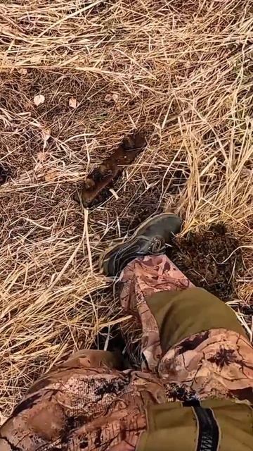 Что это такое? смотреть онлайн