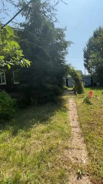 113894 смотреть онлайн