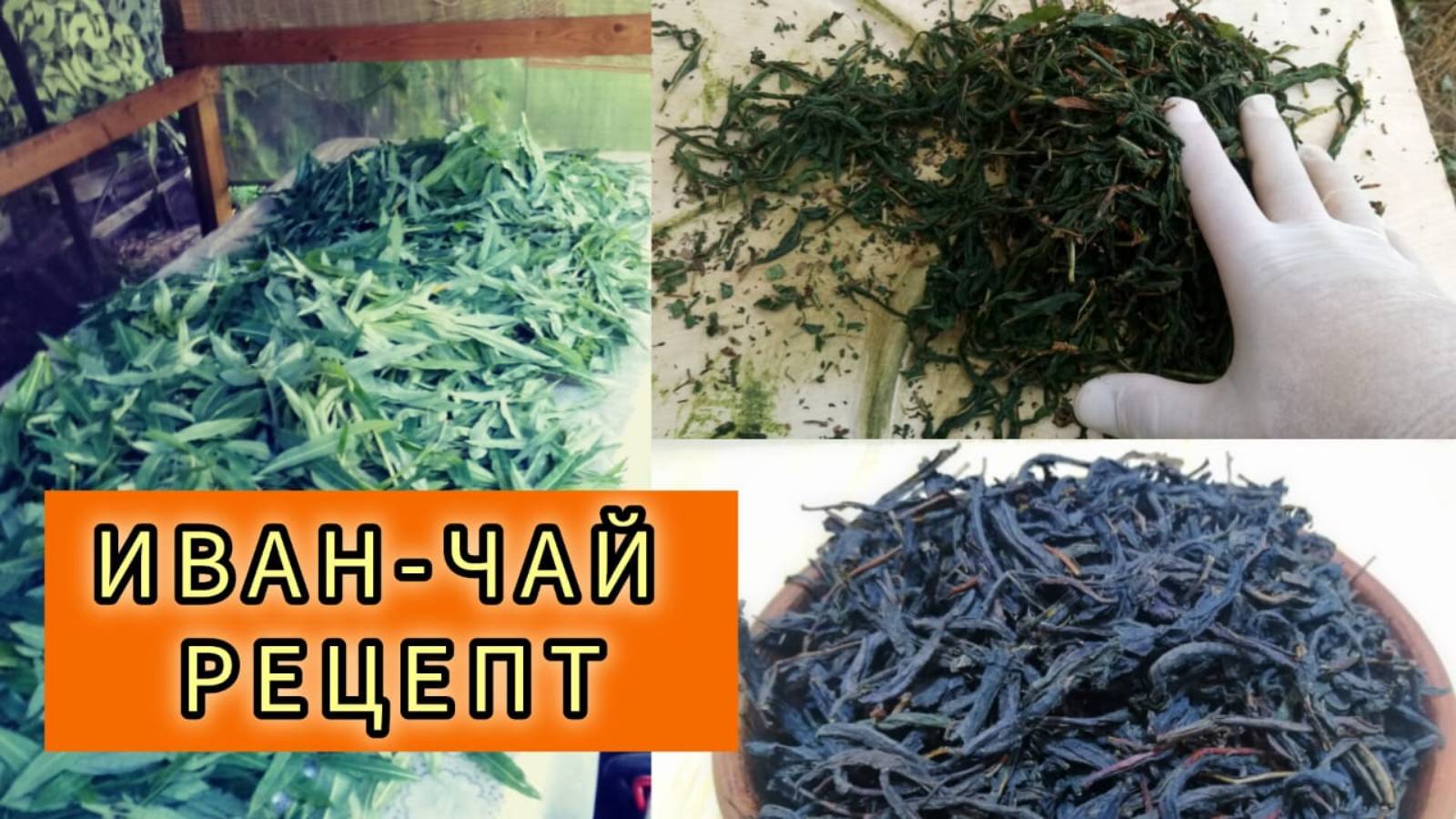 Вадим Здравчай