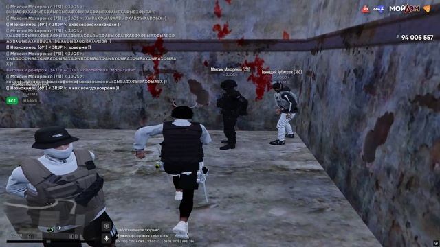 похитка