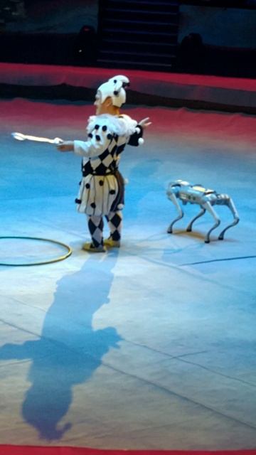 Большой Московский цирк