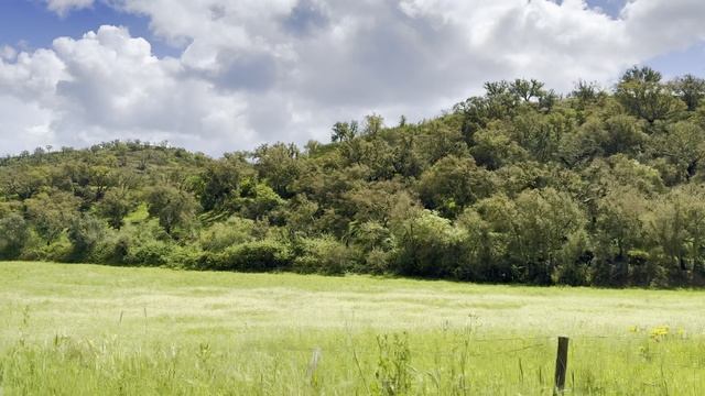 На машине по дорогам Португалии смотреть онлайн