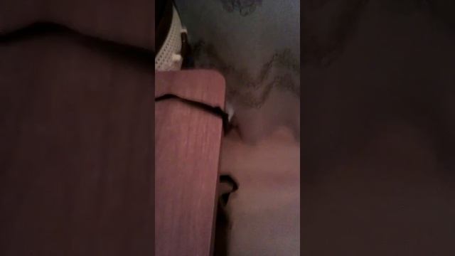 Телефон за 300 рублей