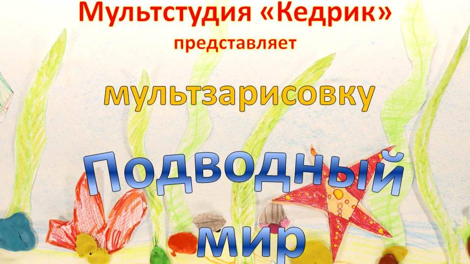 Мультстудия