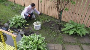 6 соток 9 июня 2025 года. 2 часть