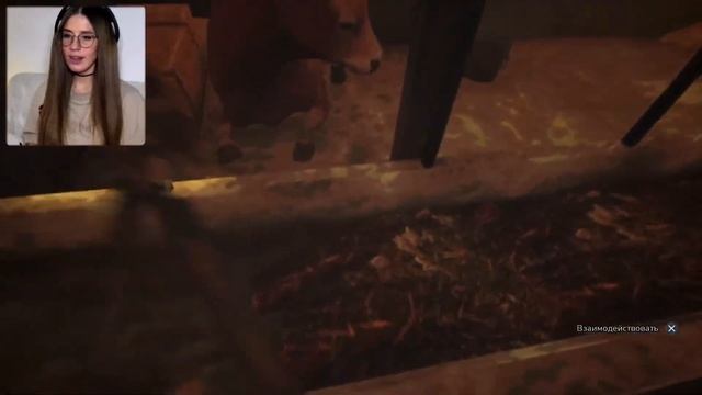 НАЧАЛО ➤ While We Wait Here #1