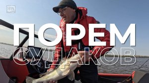 Ловля судака с лодки.