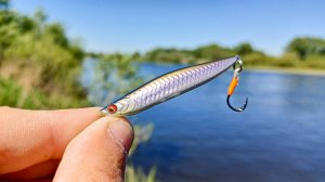 ЭТА приманка МЕНЯ НЕ ПОДВОДИТ! НУ и ПОЛОВИЛ СЕГОДНЯ! Рыбалка на спиннинг в 2025