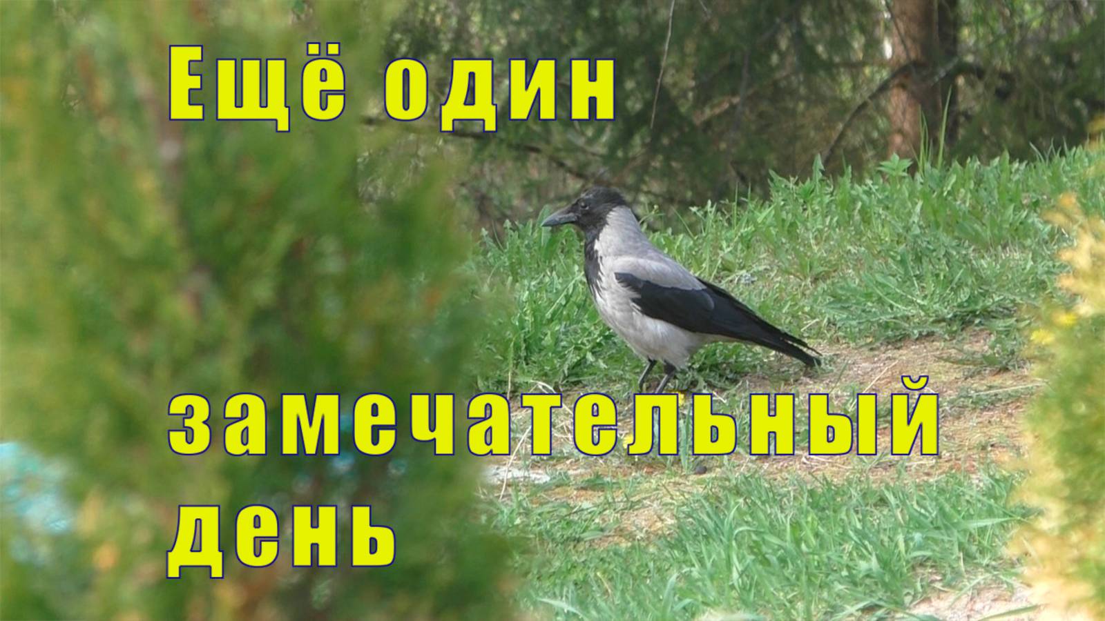 ЕЩЕ ОДИН ЗАМЕЧАТЕЛЬНЫЙ ДЕНЬ ОТПУСКА/ 24 мая 2025 смотреть онлайн