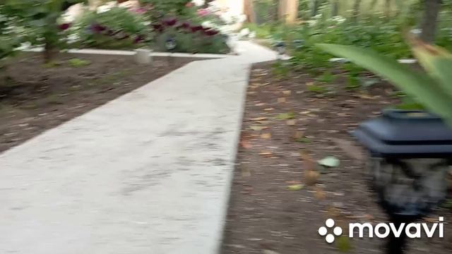 Новые полезные покупки для дачи:звуковой отпугиватель и садовые фонарики на солнечной батарее. смотреть онлайн