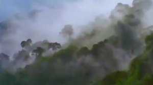 винни пух Леруа Мерлен глава 2