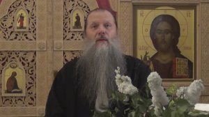 «Пресвятая Троице, спаси нас!». Тема вопросов: «Тайна нашего спасения». Конф. 070625.
