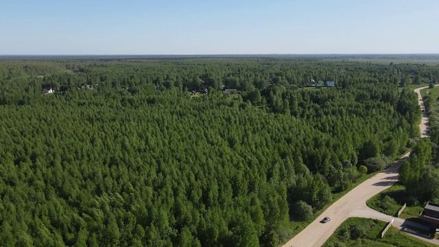 Шачебол лесной массив 25 га