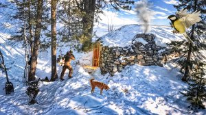 ВЕРНУЛИСЬ В КАМЕННЫЙ ДОМ СПУСТЯ ДВА ГОДА И ВОТ, ЧТО С НИМ СЛУЧИЛОСЬ... МЕДВЕДИ РЯДОМ! ЛЕСНАЯ КУХНЯ