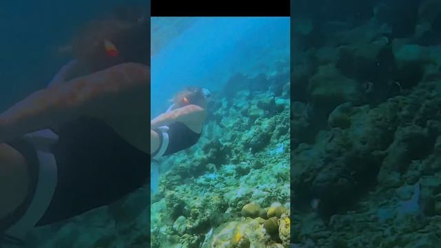 Мальдивы, остров Камадху, Баа Атол. Зарисовки о путеше? смотреть онлайн