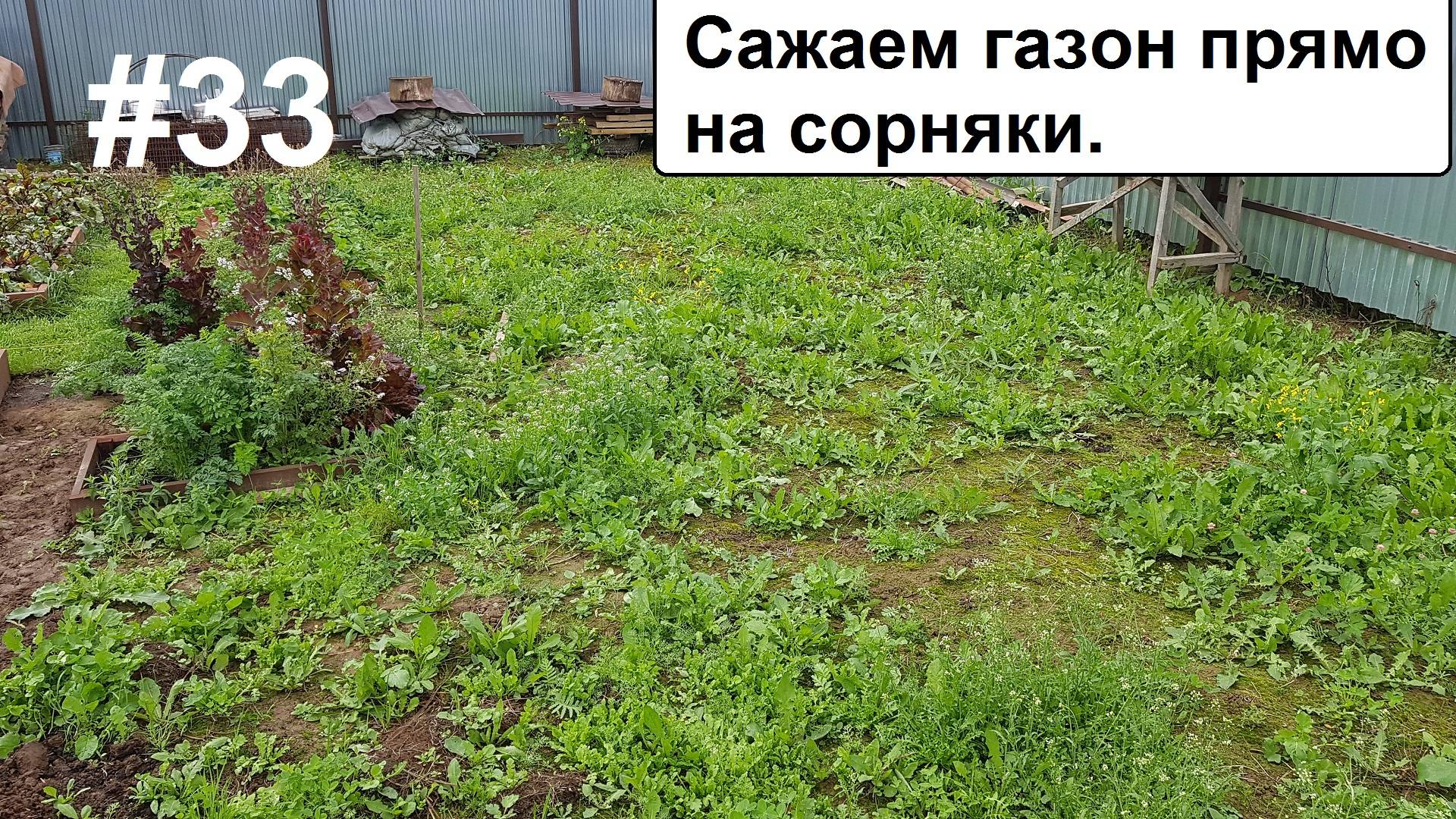 Газон на сорняки. смотреть онлайн