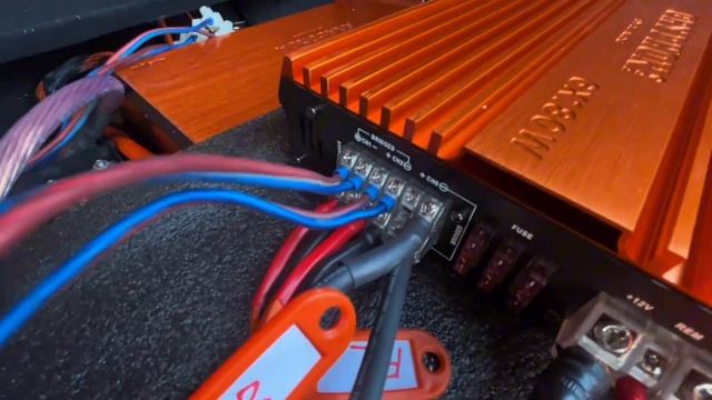 Gryphon Pro 6.180 усилитель для всего! 