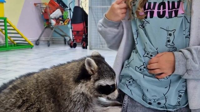 Планета Енотов. Интересные места. смотреть онлайн