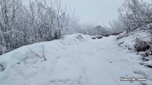 Банкир в метель подобрал на трассе старушку, продавав?