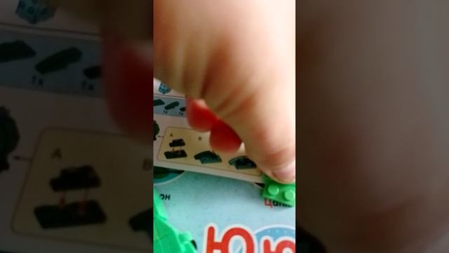 собираю конструктор в виде овакада.