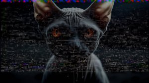 ХАХАХА ККББ КАПЕЦ 2