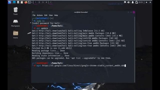 Kali Linux 2024.1 установка Chrome из Terminal. #kalilinux #chrome