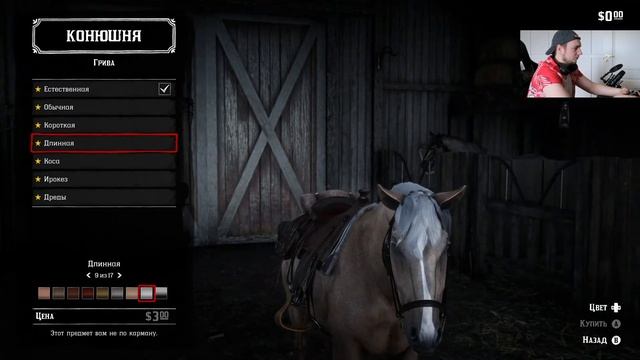 Red Dead Redemption 2 на Xbox One X прохождение