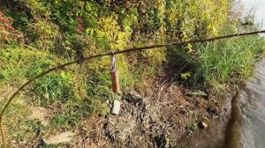 Рыбалка на Оке. Резинка отлично ловит хищника