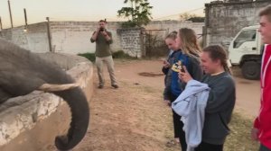 FailArmy. 
Nature Fails! Top 50 Wildest Animals on the Planet 🐯