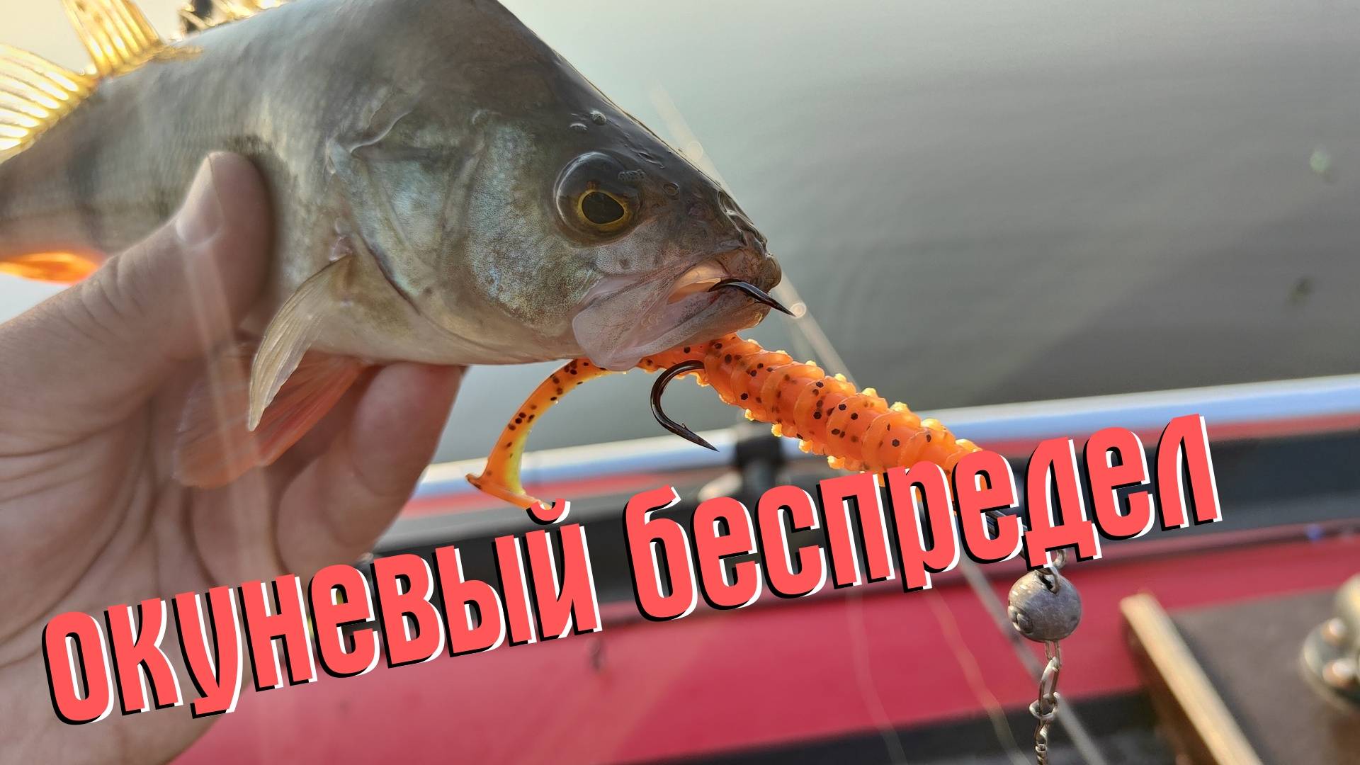 НЕОЖИДАННЫЕ АТАКИ! ЛЕТНЯЯ РЫБАЛКА НА ОКУНЯ С ЛОДКИ смотреть онлайн