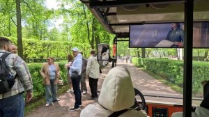 Петергоф июнь 2025