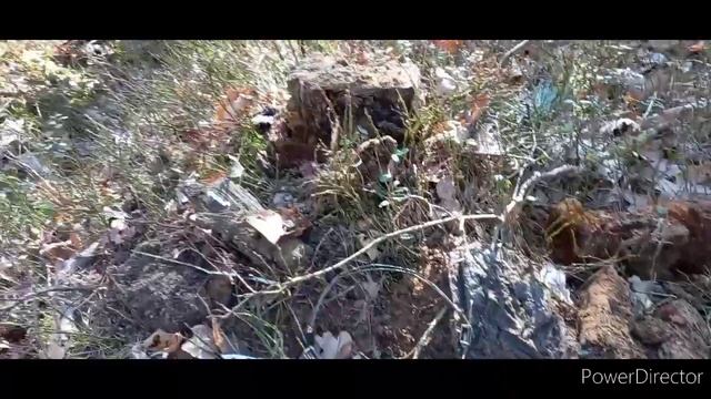 ПАРТИЗАНСКАЯ РАЦИЯ. Я В ШОЦІ...#7 смотреть онлайн