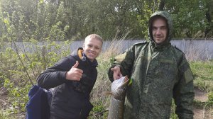 На что клюет щука лучше?