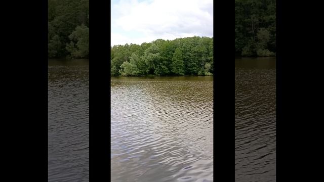 Природа смотреть онлайн