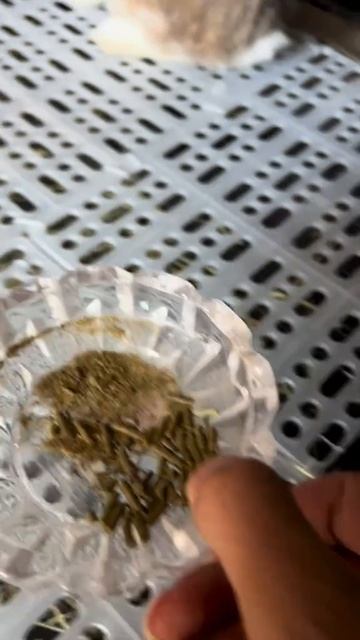 Тот момент, когда она - не обиделась смотреть онлайн