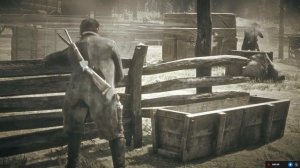 Логово Одрисколов Red Dead Redemption 2
