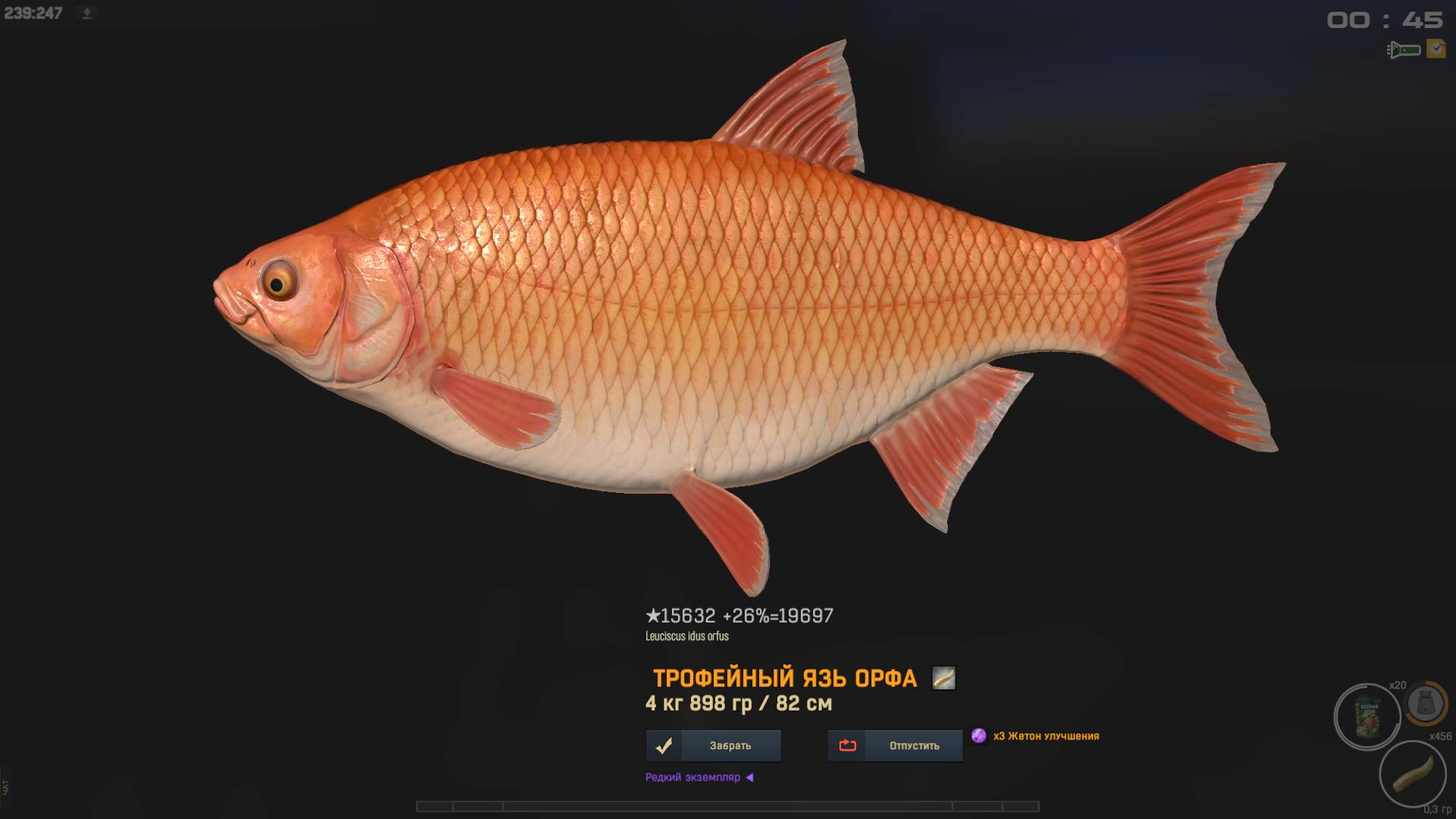 Fisher Online!  Садок ценной рыбы!  Орфа (рыжий язь) р. Дон