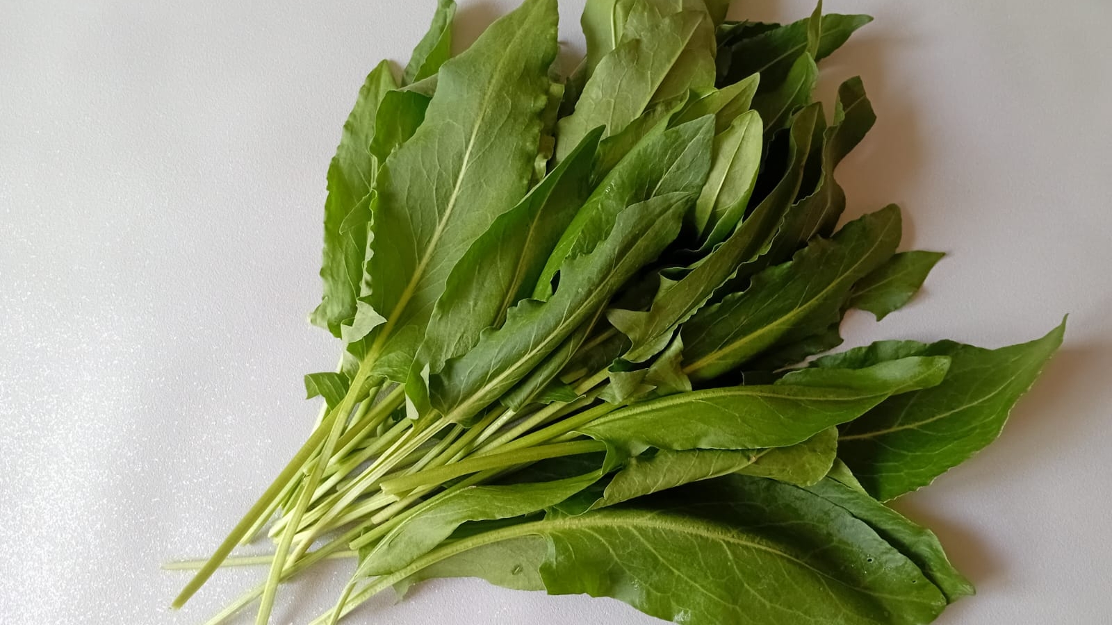 ОБАЛДЕННЫЙ СУП с ЩАВЕЛЕМ и ЯЙЦОМ смотреть онлайн