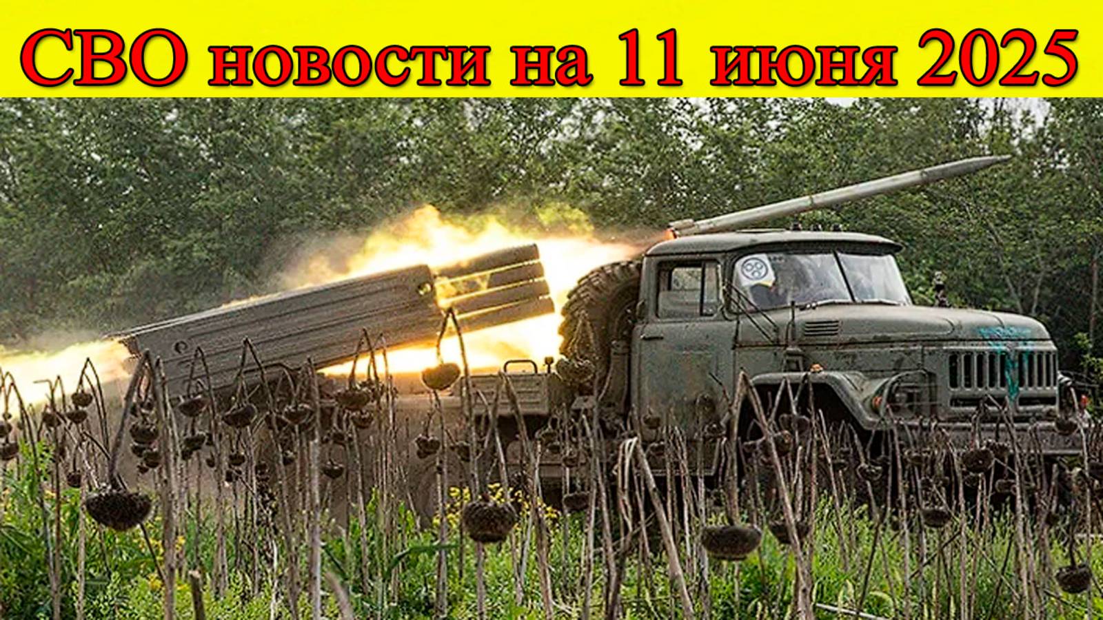 СВО новости на 11 июня. ВС РФ освобождают Новониколаевку. Последние новости смотреть онлайн
