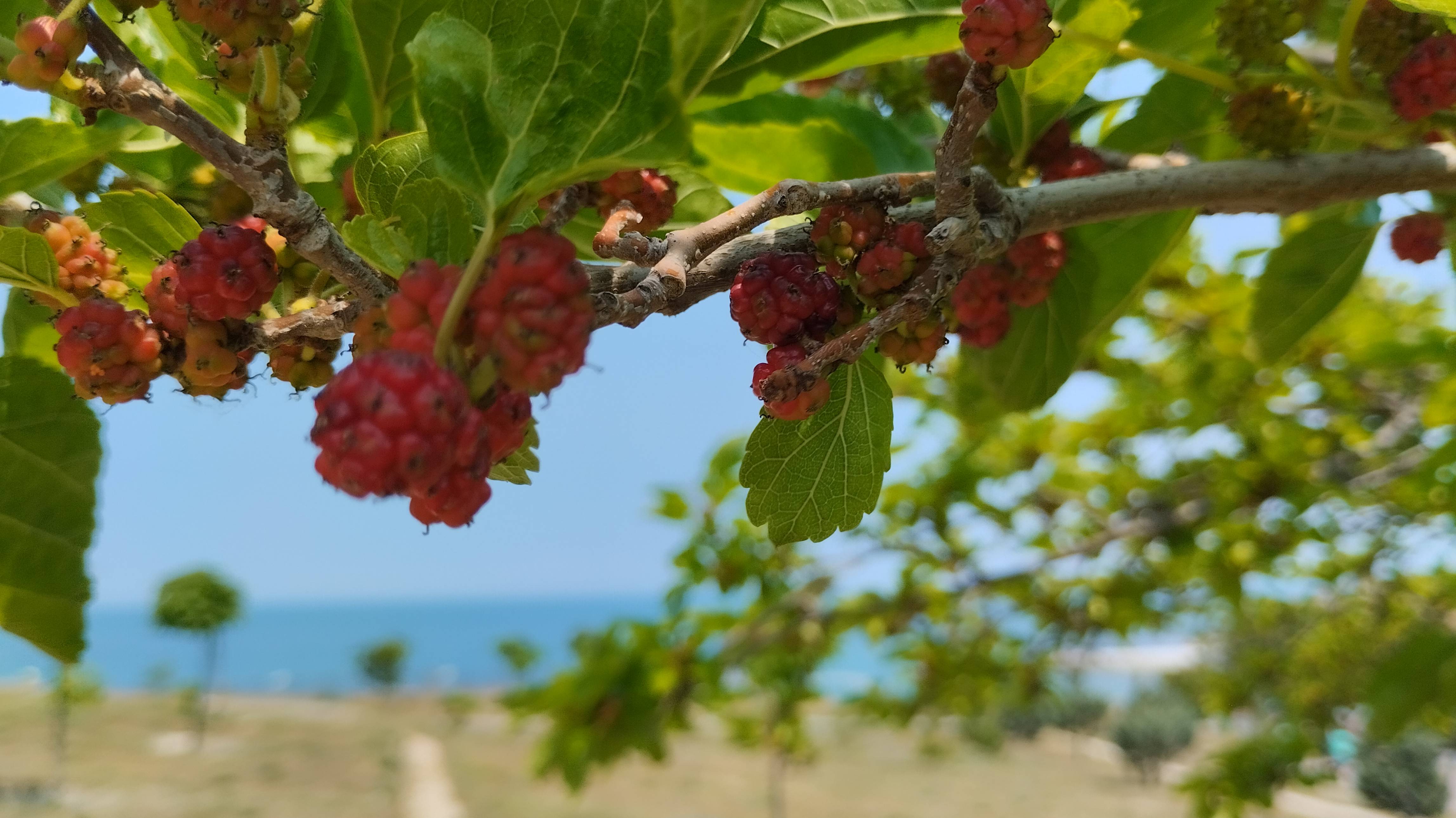 Днём на море