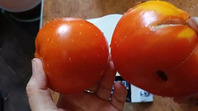 Зимаревский великан