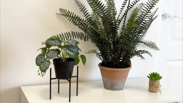 Подставка для кашпо АСКОТ, металл, чёрная, 13х14 см, 1068921