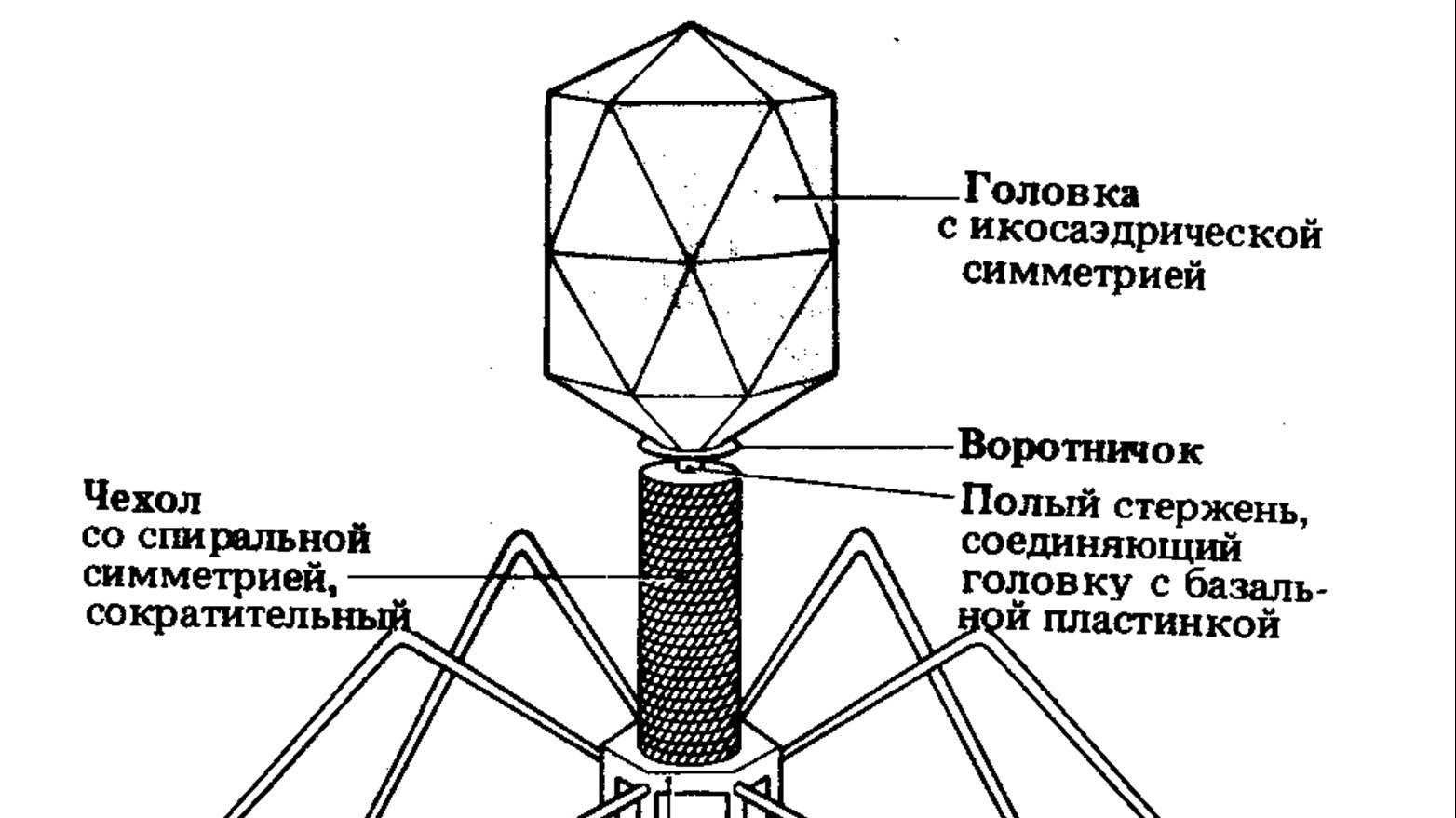 Парадокс Хенкина смотреть онлайн