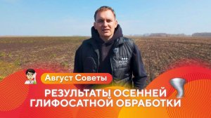 Результаты осенней глифосатной обработки гербицидом Торнадо 540