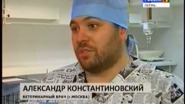 Сюжет Дойче Вет Золотой скальпель