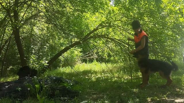 Шеуджен Кай. Команды