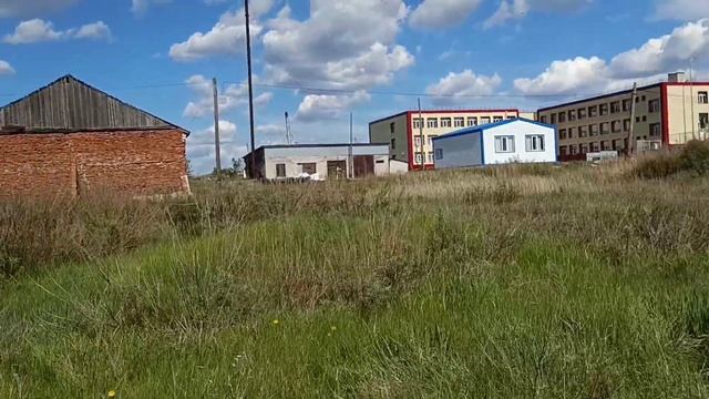 Школа  имени  Максима Горького в Зверинке подробный об