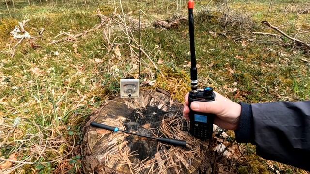 QUANSHENG TK-11. Лесной экспресс тест.